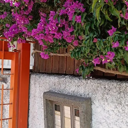 C E G House דירה